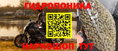 прущий лед Будённовск