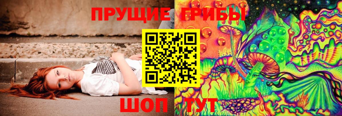 Галлюциногенные грибы Psilocybe  Вход с VPN  Сибай 